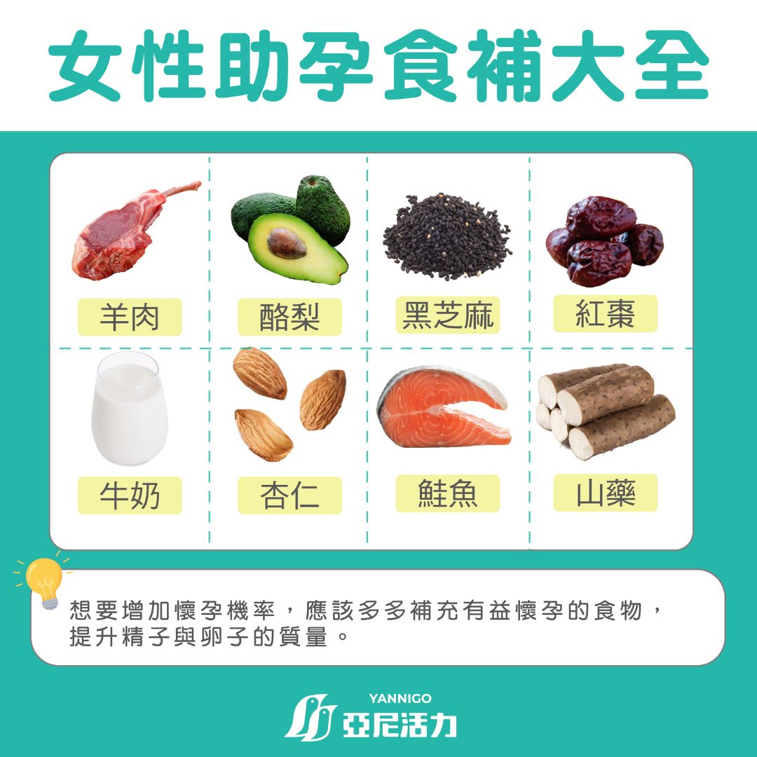 女性助孕食補全圖解