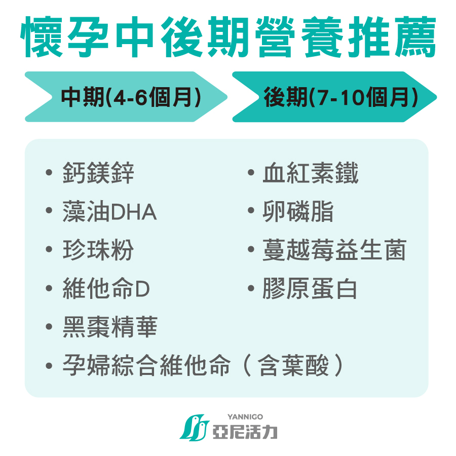 懷孕中期營養補充推薦（4～6個月）