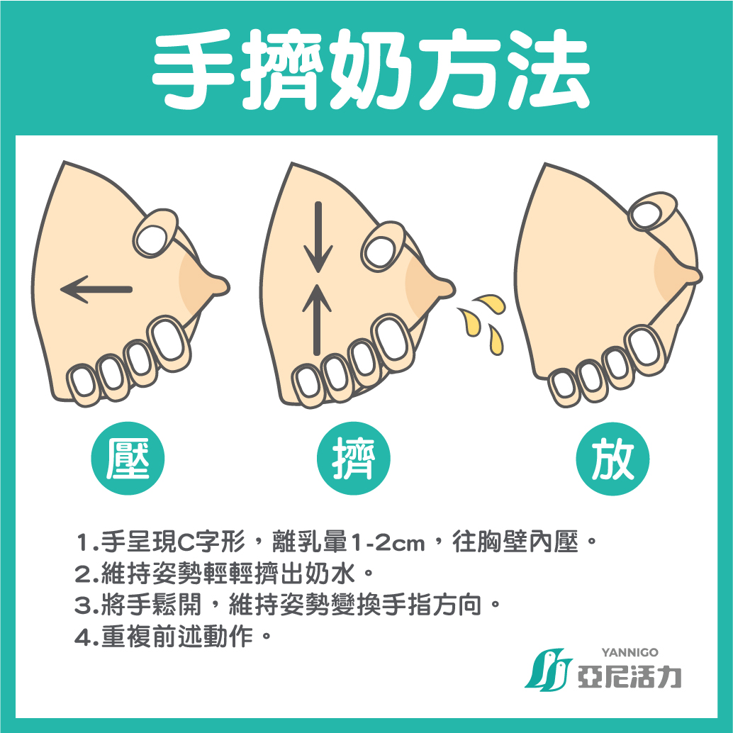 手擠奶方法