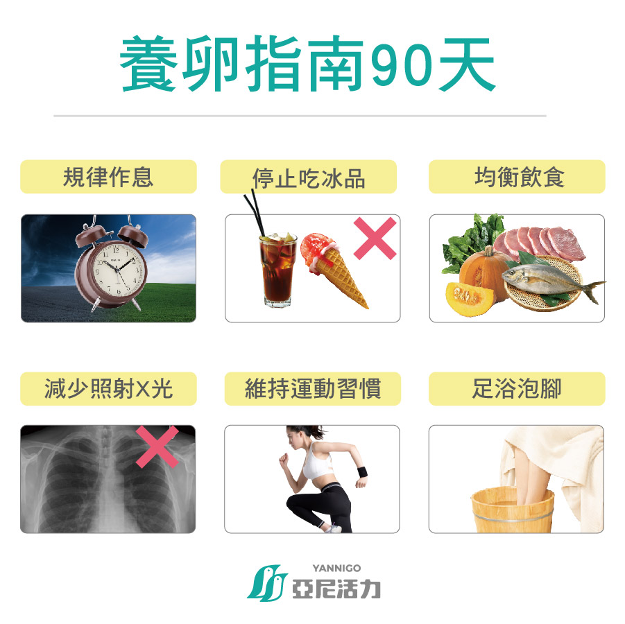 養卵90天六大指南