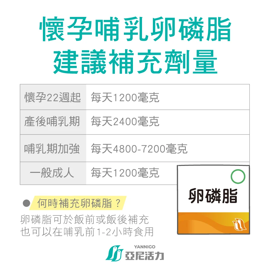 卵磷脂什麼時候吃最好？卵磷脂孕婦劑量多少?