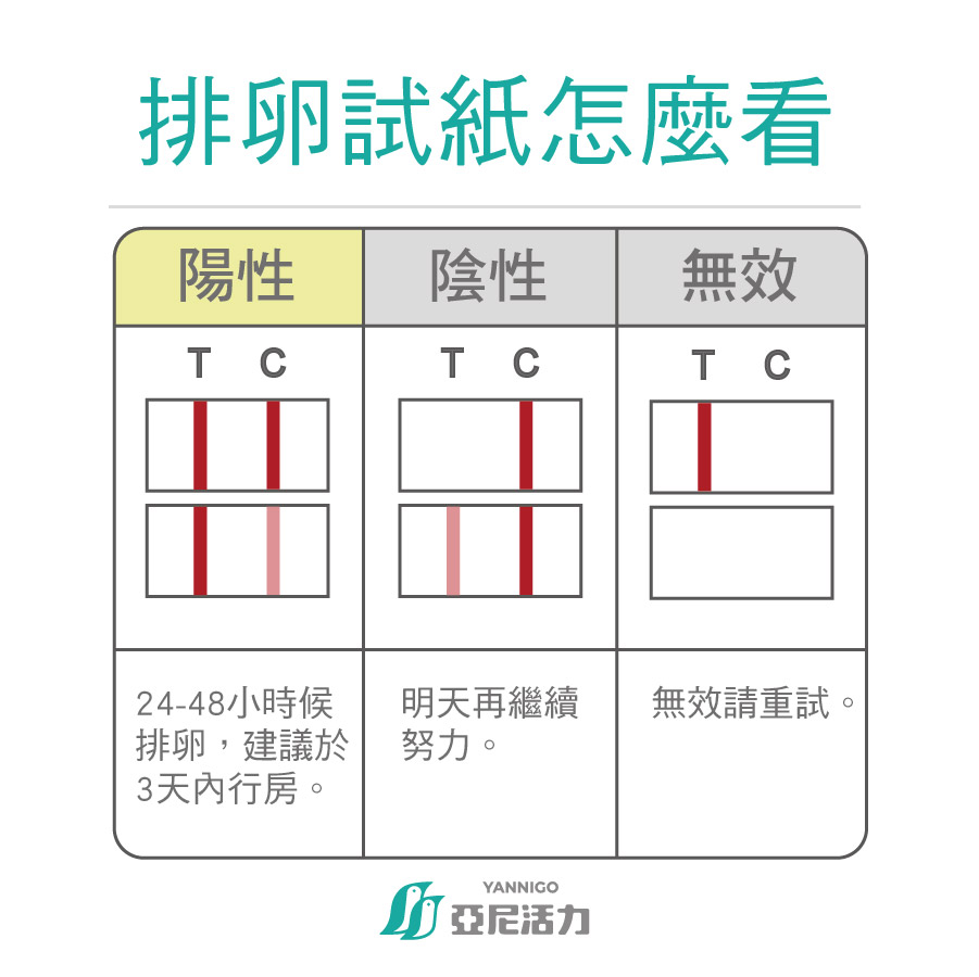 排卵試紙怎麼看