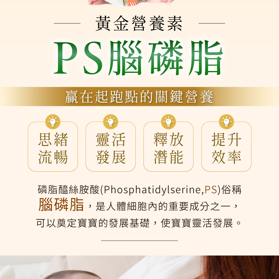 PS是甚麼?懷孕哺乳期補充DHA+PS