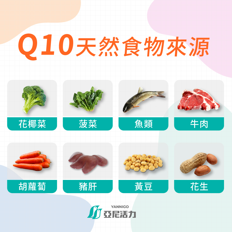 Q10天然食物來源:花椰菜、菠菜、魚類、牛肉、胡蘿蔔、豬肝、黃豆、花生