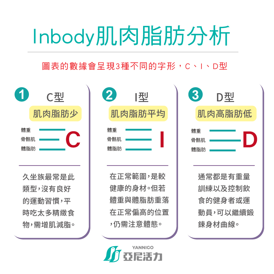 亞尼活力inbody測量-肌肉脂肪分析