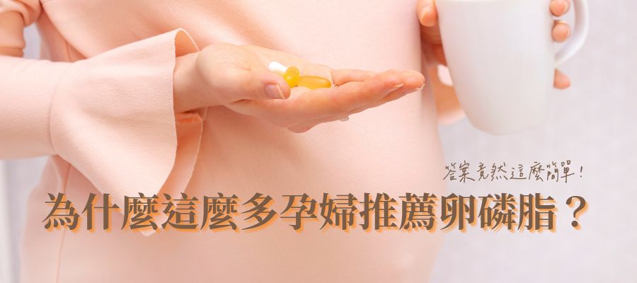 為什麼這麼多孕婦推薦卵磷脂？答案竟然這麼簡單！